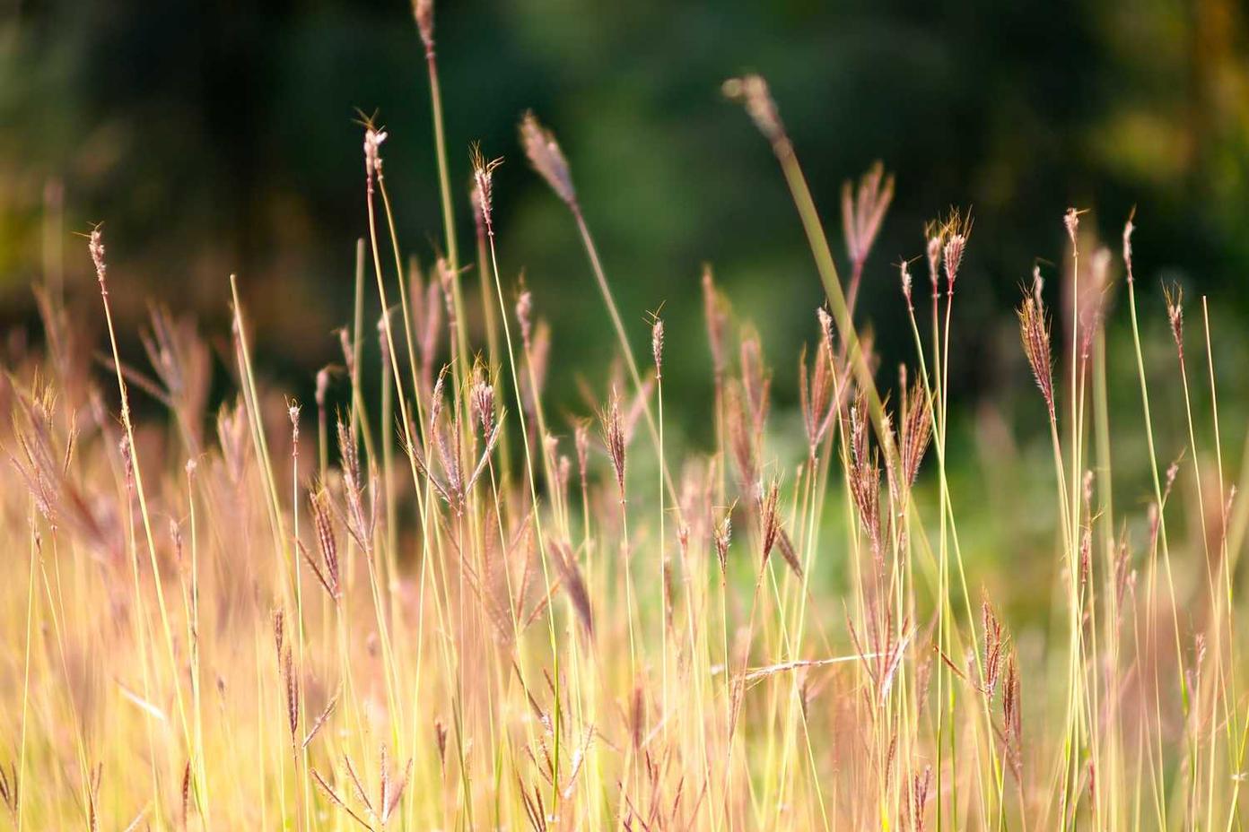 Aspernatur autem eius